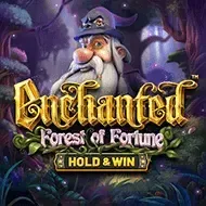 Enchanted_ Forest Of FortuneBsg